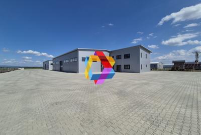 Hala - 700 mp  # plus-imo.ro - 3