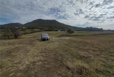 Teren de 1144 mp, în Moldova Nouă - 5