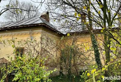 Casă cu 3 camere cu Teren 1543 Mp în Giurgița - 10