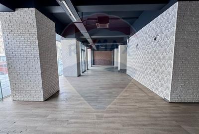Spațiu comercial, de 272 mp, în Moșilor - 9