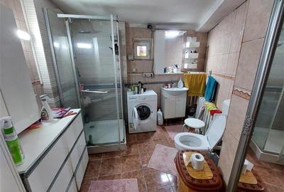 Casa cu 3 camere in Micalaca - 7