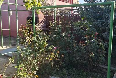 Voluntari - Str. Pompiliu Stefu - 6