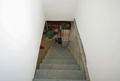 Casa individuala in Carpinis, 1093 mp teren, mobilata, zona linistita - 12