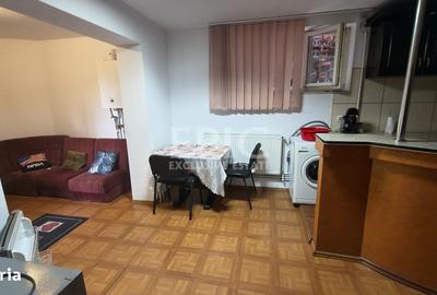 Casă cu 1 camere în Vulcan - 5