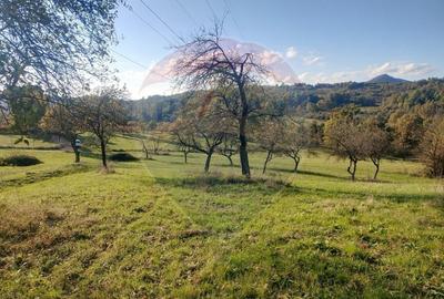 Teren Construcții intravilan de 1808 mp, în Șișești - 4