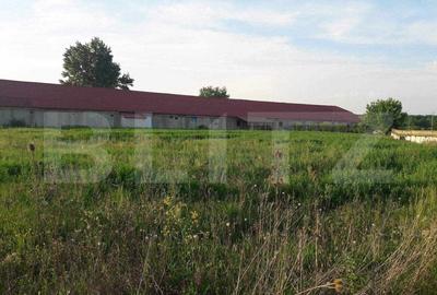 De vanzare afacere ,fabrica de prelucrare lemn ,1200mp, langa Botiz - 3