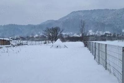 Casă cu Teren 2689 Mp în Vișeu de Mijloc - 3