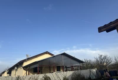 Mihailesti Popesti - 16