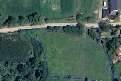 Teren de 3432 mp, în Mogoșești