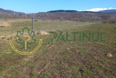 Spațiu comercial, în Chirpăr - 1