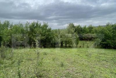 Teren extravilan 5200 mp Budacul de Jos- Investi?ie ex - 4