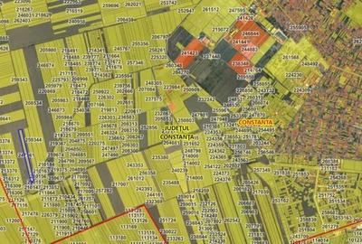 Teren de 18000 mp, în Viile Noi