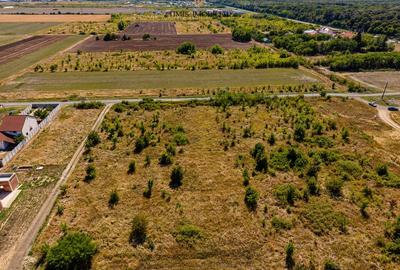 Parcele case cu vedere spre padure – intre Timisoara si Giarmata Vii - 8