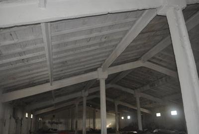 Spațiu industrial, în Ceamurlia de Jos - 17