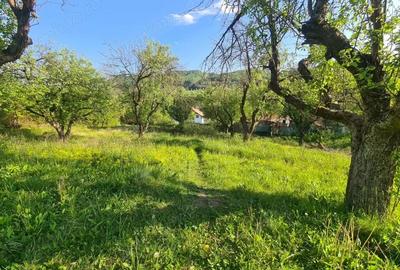 Teren de 950 mp, în Păușești