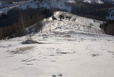 Teren Pestera Brasov 5000m - 8