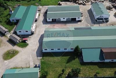 Hale de vanzare-ideale pentru depozit sau productie - 9