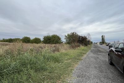 Teren agricol intravilan de 15000 mp, în Ionești - 3