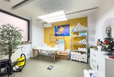 Piata Victoriei | 7 Camere | Metrou 4 '| Vila Individuala - 12