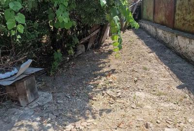 Casă cu 3 camere în Deta - 6