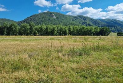 Spațiu comercial, în Ghimbav - 6