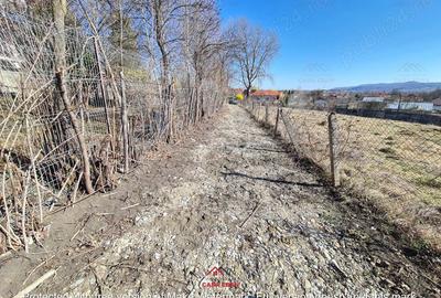 Casă cu Teren 4391 Mp în Cornu - 3