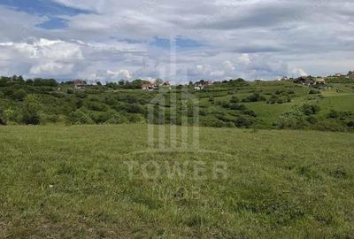 De vanzare, teren 11.500 mp Dealul Daii, Vedere panoramica spre mun?i ?i lac - 2