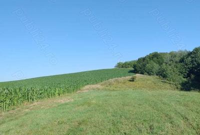 Teren în Valea Albă - 4
