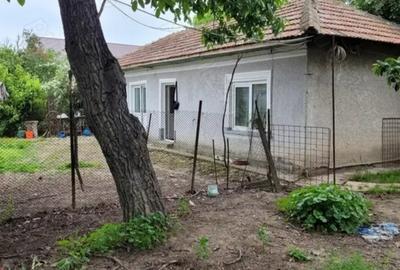 Casă cu 6 camere cu Teren 1351 Mp în Cernica - 5