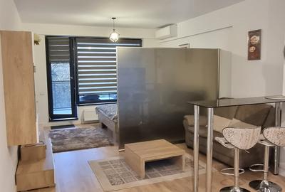 Garsonieră decomandată, mobilată în Iancu Nicolae - 4
