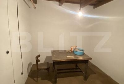 Casa cu anexe si 40 ari de gradina - 8