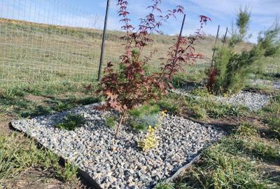 Spațiu comercial, în Feiurdeni - 2