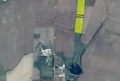 Teren de 92816 mp, în Sânandrei