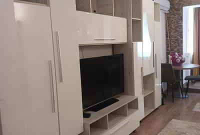 Garsonieră semidecomandată în Dristor - 3