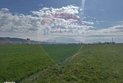 Teren de 8600 mp, în Iclod - 14