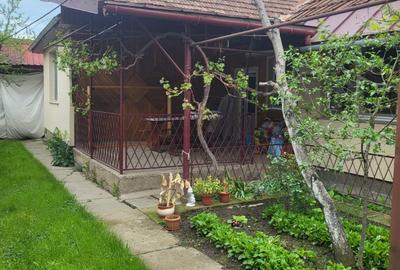 Casă de vânzare în Oțelu Roșu – liniște, natură și confort Casă de vânzare în Oțelu Roșu – liniște, natură și confort - 18