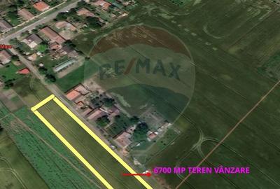 Teren de vanzare cu potential construibil 6,700mp Variasu Mare - 3