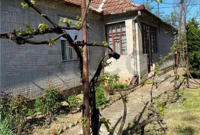 Casă cu 3 camere cu Teren 3000 Mp în Biharia