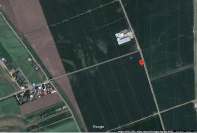 Teren de 5760 mp, în Letea Veche - 2