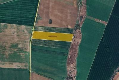 Teren agricol extravilan de 87500 mp, în Sânandrei - 1