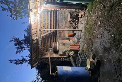 Vind casa in Bazosu Nou - 6