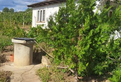 Casă cu 4 camere cu Teren 50000 Mp în 13 Septembrie - 4