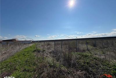 Teren de 700 mp, în Vânători - 2