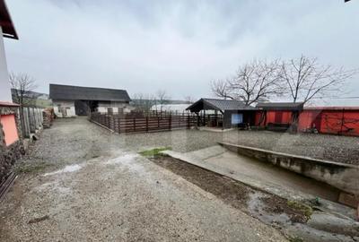 Casă cu 4 camere cu Teren 1400 Mp în Central - 2