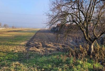 Spațiu comercial, în Săulești - 10