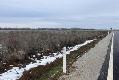 Spațiu comercial, în Biharia - 8