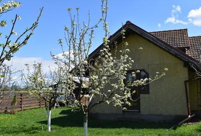 TEREN INTRAVILAN CU CONSTRUCTII AGROTURISTICE SI CABANA CODLEA - 6