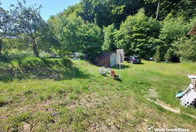 Oaza ta de liniste si verdeata, teren Faget cu parau in curte - 3