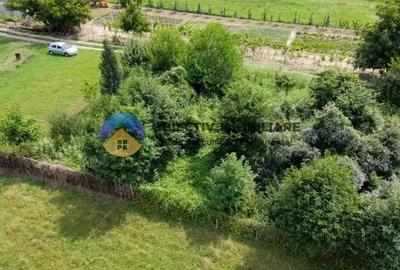 Teren intravilan com. Alexandru cel Bun- Viisoara - 6