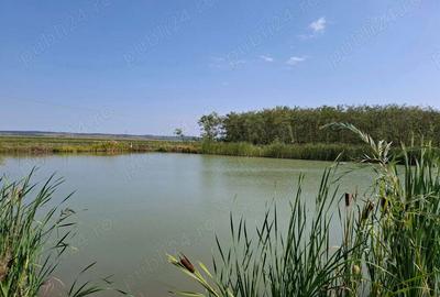 Casa cu lac in comuna Acas jud Saru Mare - 5